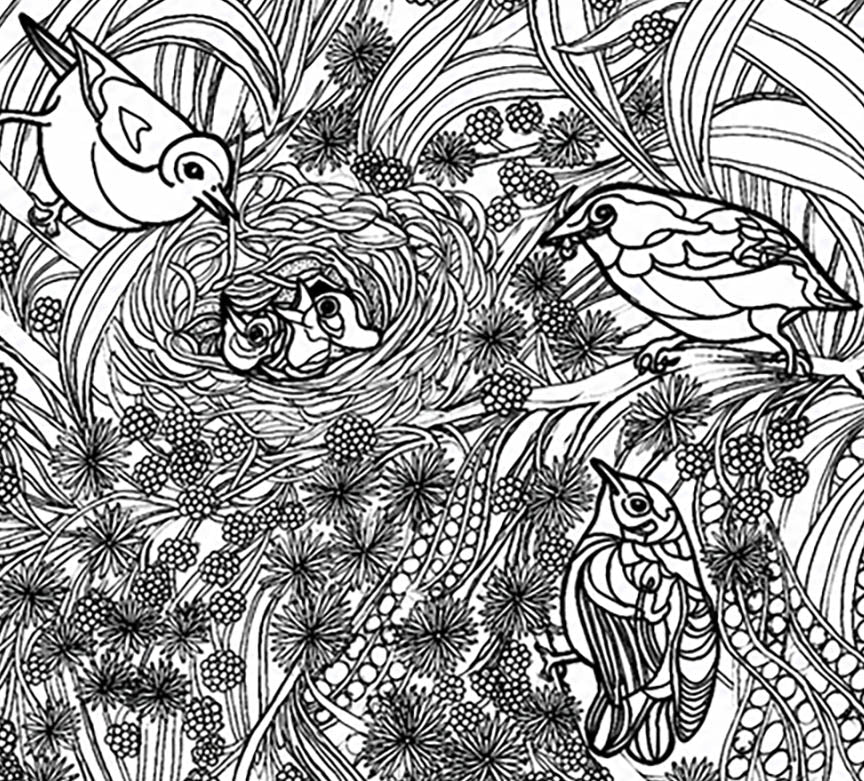 Akikiki Coloring Poster – Critically Endangered Hawaiian Bird | Koa Tree Art