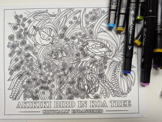 Akikiki Coloring Poster – Critically Endangered Hawaiian Bird | Koa Tree Art
