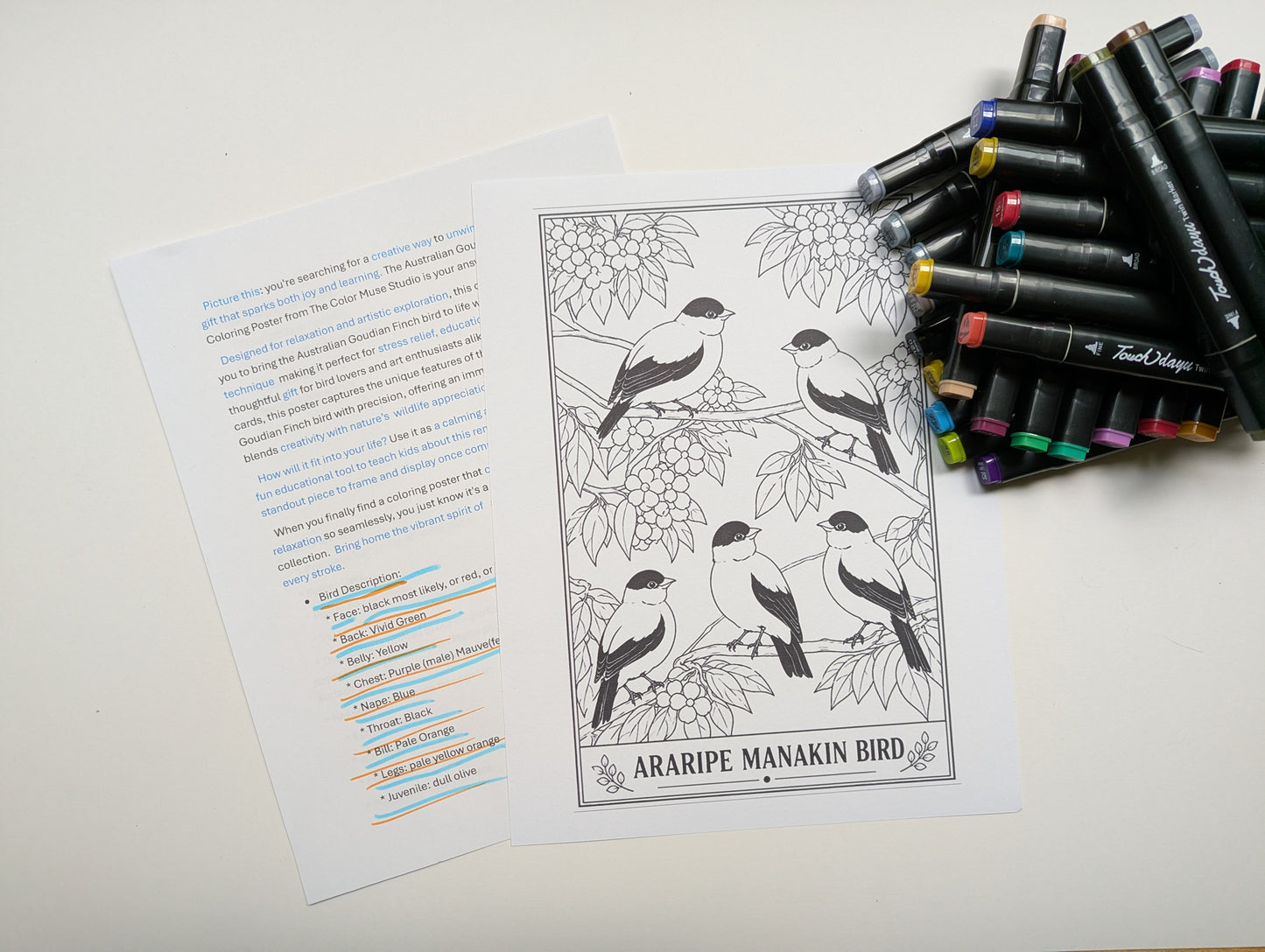 Araripe Manakin Coloring Poster – Critically Endangered Bird Line Art Print