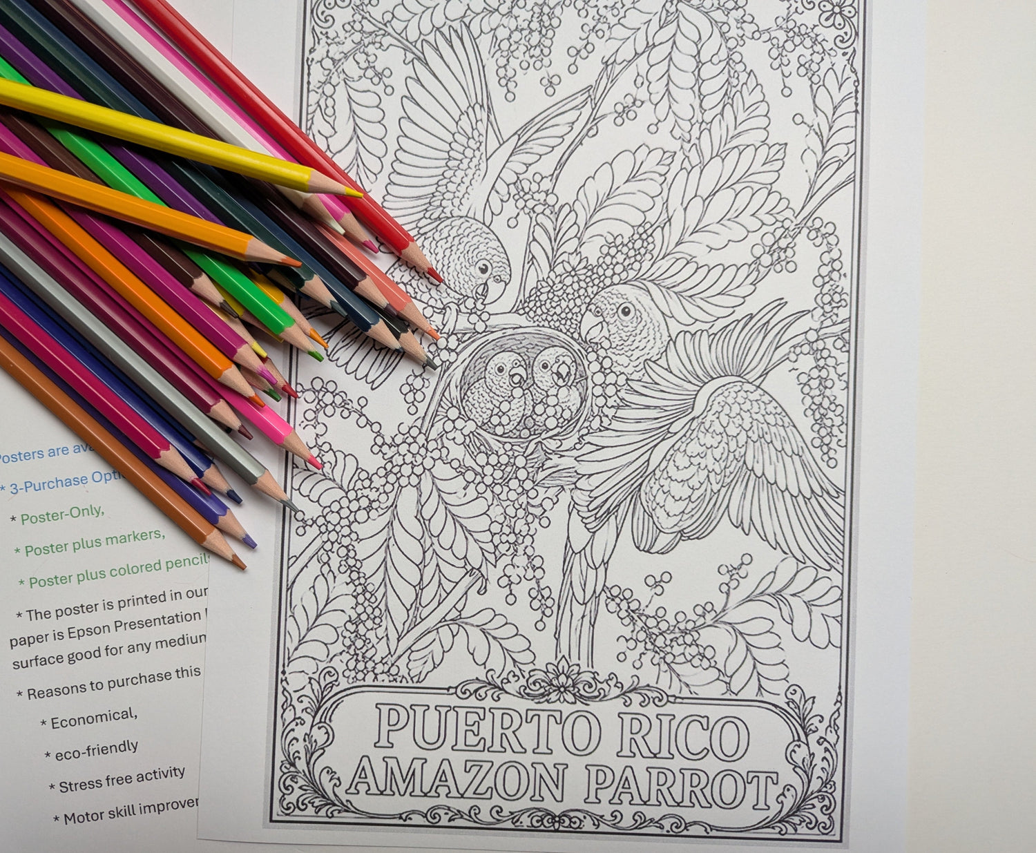 COLORING POSTERS
