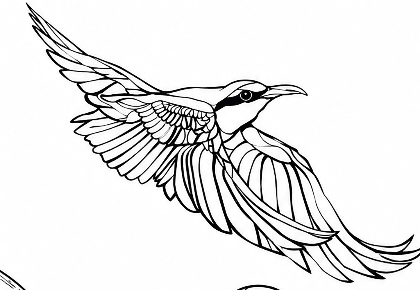 Bee Eater Coloring Poster – Exotic Bird Line Art | Wildlife Coloring Art