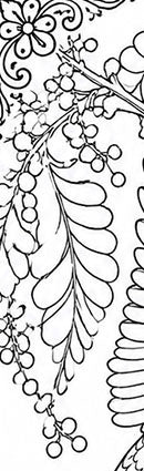 Puerto Rican Amazon Parrot Coloring Poster – Wildlife Conservation Art Print