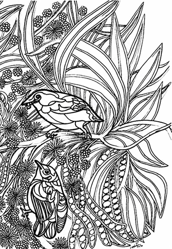 Akikiki Coloring Poster – Critically Endangered Hawaiian Bird | Koa Tree Art