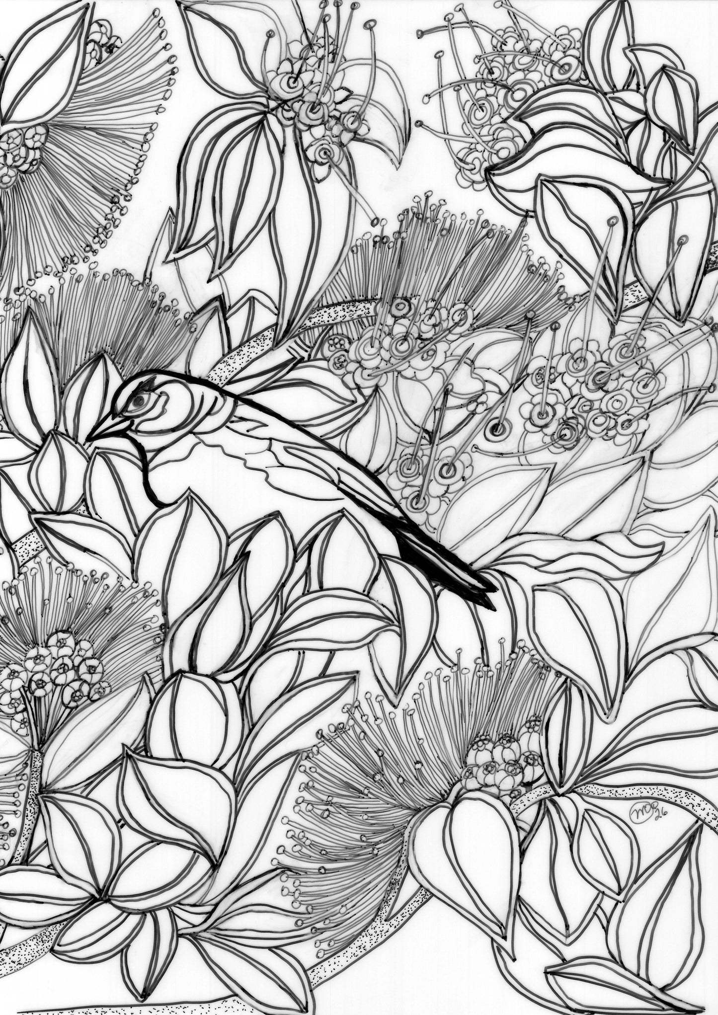 Akeke'e Critically Endangered Hawaiian Bird in a Ohia Tree Coloring Poster