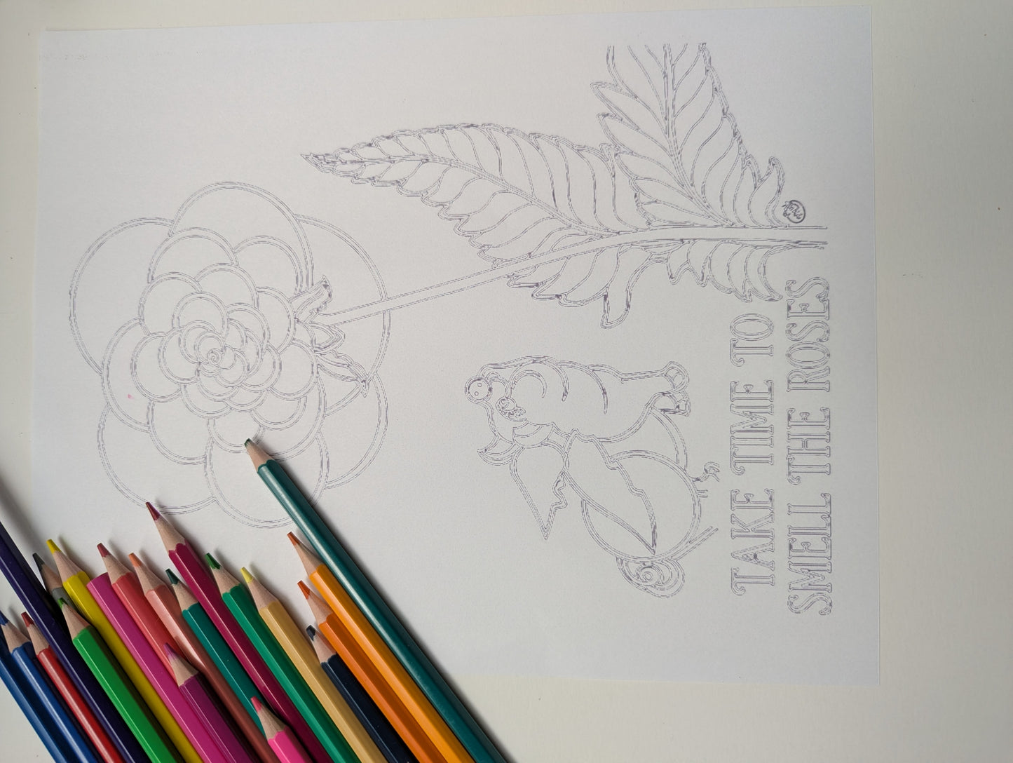 Take Time to Smell the Roses Coloring Poster | Inspirational Flower Coloring Page Printable