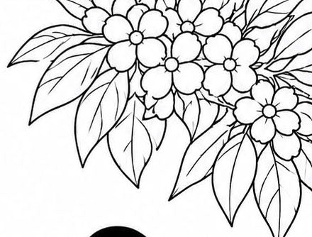 Araripe Manakin Coloring Poster – Critically Endangered Bird Line Art Print