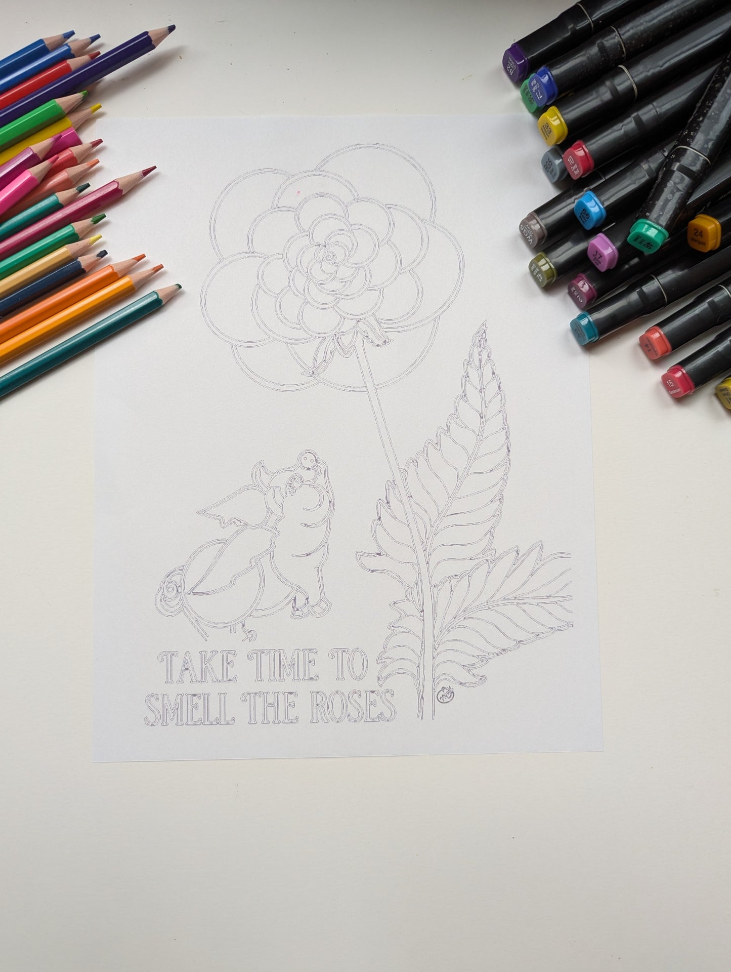 Take Time to Smell the Roses Coloring Poster | Inspirational Flower Coloring Page Printable