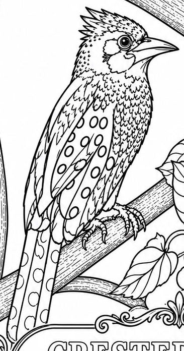 Crested Barbet Hand‑Drawn Coloring Poster – Educational Wildlife Art Print