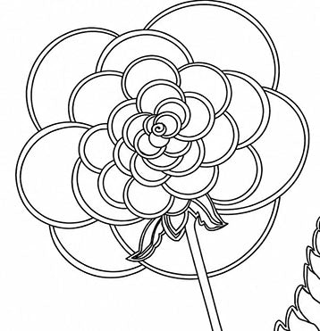 Take Time to Smell the Roses Coloring Poster | Inspirational Flower Coloring Page Printable
