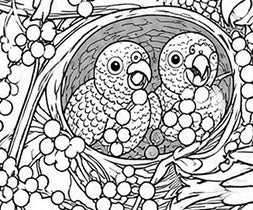 Puerto Rican Amazon Parrot Coloring Poster – Wildlife Conservation Art Print