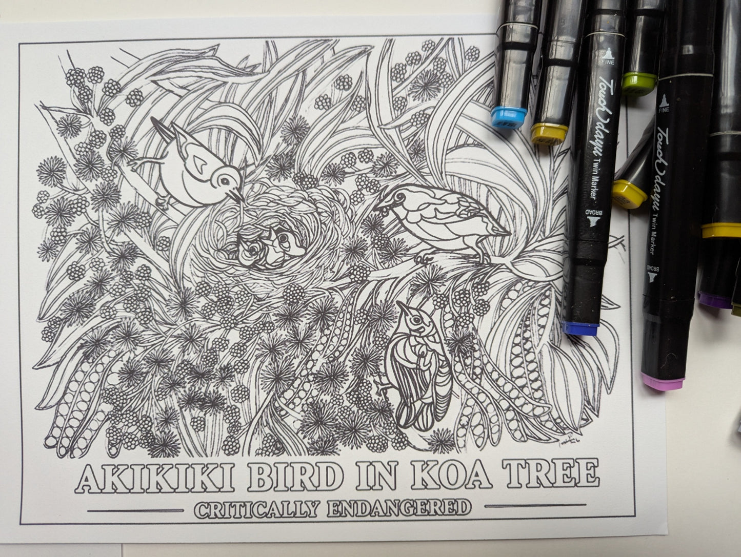 Akikiki Coloring Poster – Critically Endangered Hawaiian Bird | Koa Tree Art