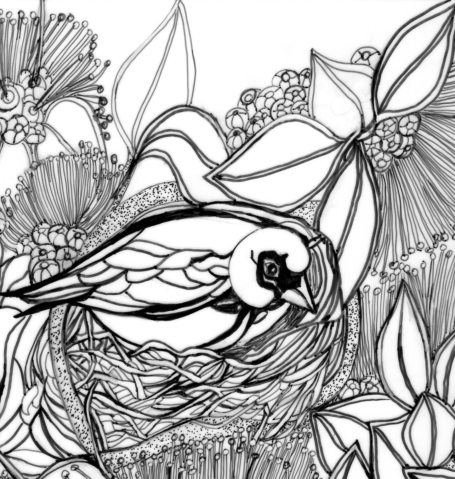 Akeke'e Critically Endangered Hawaiian Bird in a Ohia Tree Coloring Poster