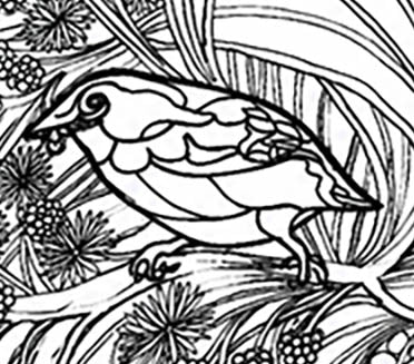Akikiki Coloring Poster – Critically Endangered Hawaiian Bird | Koa Tree Art