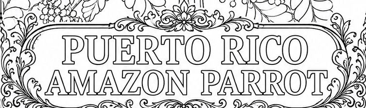 Puerto Rican Amazon Parrot Coloring Poster – Wildlife Conservation Art Print