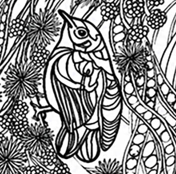 Akikiki Coloring Poster – Critically Endangered Hawaiian Bird | Koa Tree Art