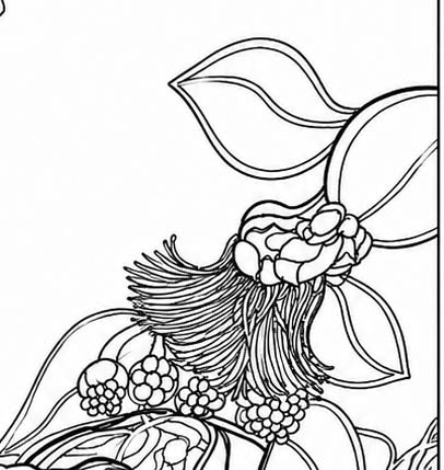 Cebu Flowerpecker Coloring Poster – Critically Endangered Bird Line Art – Hand‑Drawn Wildlife Illustration – Nature Education Decor