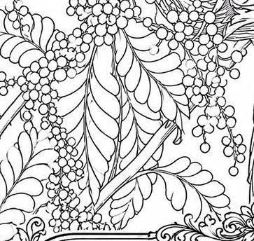 Puerto Rican Amazon Parrot Coloring Poster – Wildlife Conservation Art Print