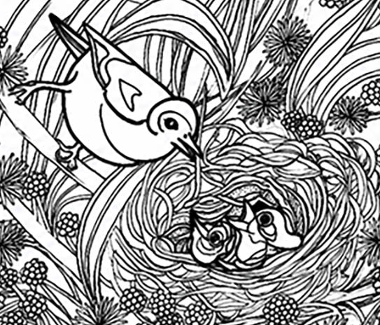 Akikiki Coloring Poster – Critically Endangered Hawaiian Bird | Koa Tree Art