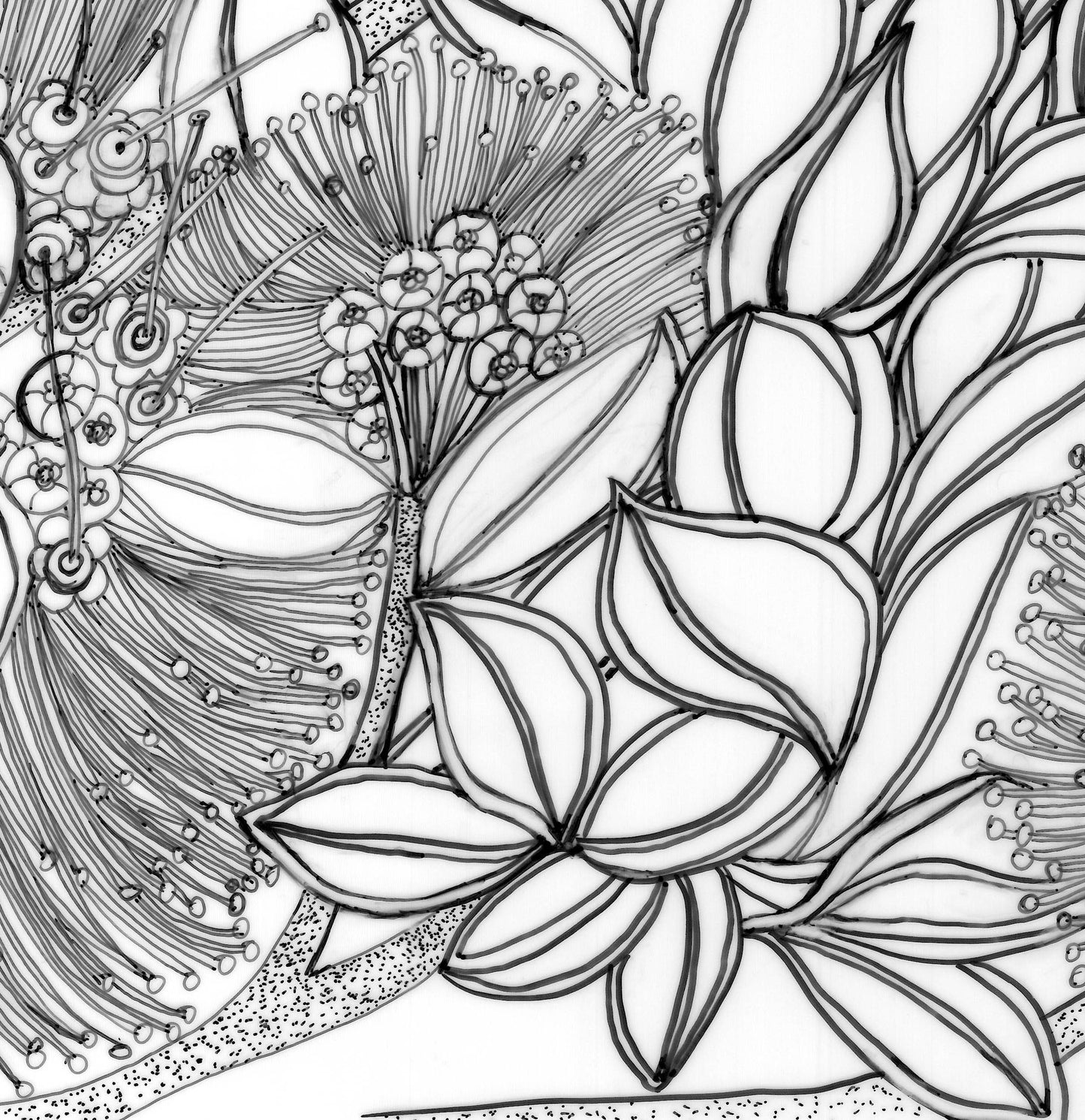 Akeke'e Critically Endangered Hawaiian Bird in a Ohia Tree Coloring Poster