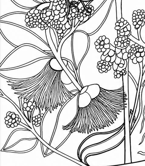 Cebu Flowerpecker Coloring Poster – Critically Endangered Bird Line Art – Hand‑Drawn Wildlife Illustration – Nature Education Decor