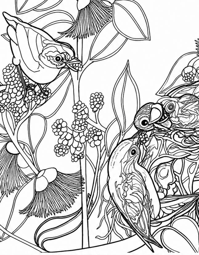 Cebu Flowerpecker Coloring Poster – Critically Endangered Bird Line Art – Hand‑Drawn Wildlife Illustration – Nature Education Decor