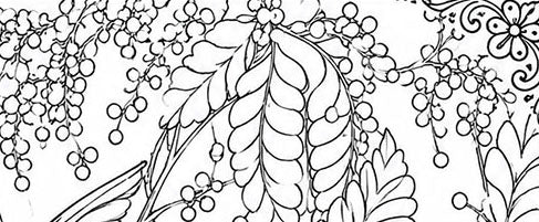 Puerto Rican Amazon Parrot Coloring Poster – Wildlife Conservation Art Print