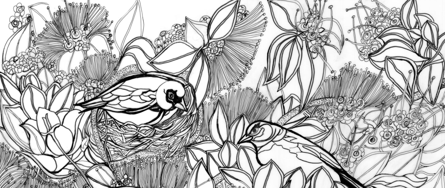 Akeke'e Critically Endangered Hawaiian Bird in a Ohia Tree Coloring Poster