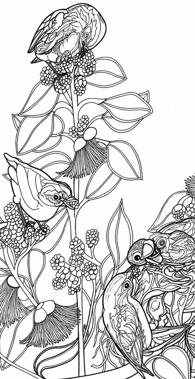 Cebu Flowerpecker Coloring Poster – Critically Endangered Bird Line Art – Hand‑Drawn Wildlife Illustration – Nature Education Decor