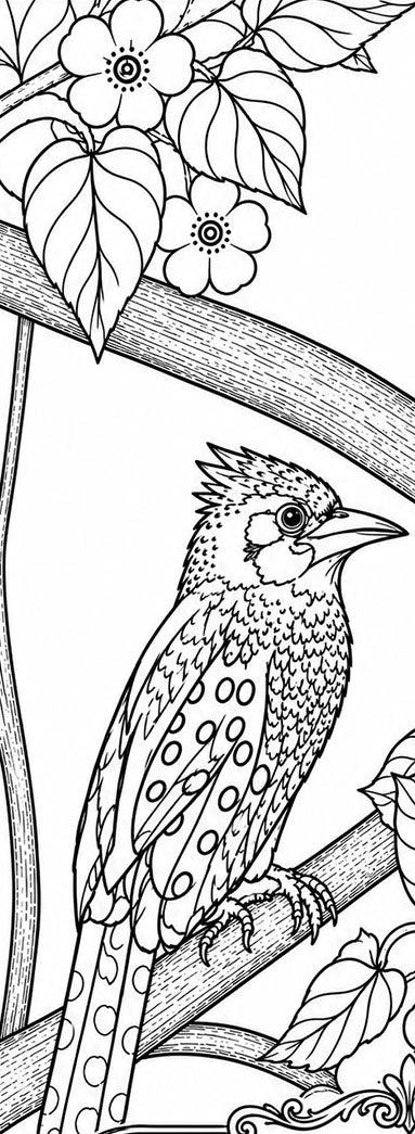 Crested Barbet Hand‑Drawn Coloring Poster – Educational Wildlife Art Print