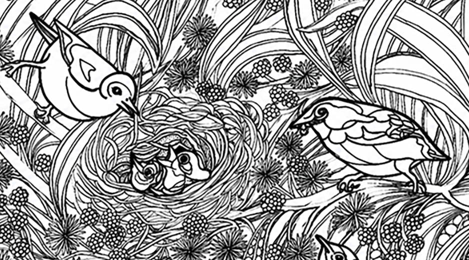 Akikiki Coloring Poster – Critically Endangered Hawaiian Bird | Koa Tree Art