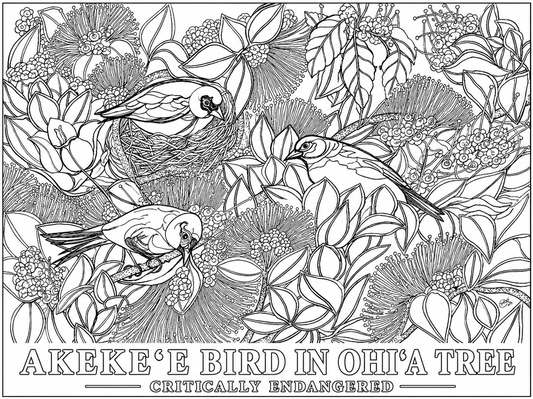 Akeke'e Critically Endangered Hawaiian Bird in a Ohia Tree Coloring Poster