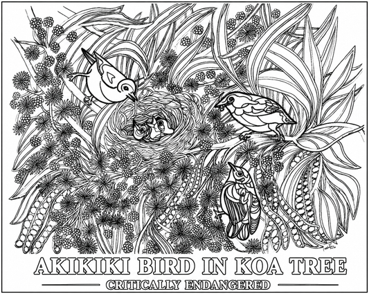 Akikiki Coloring Poster – Critically Endangered Hawaiian Bird | Koa Tree Art