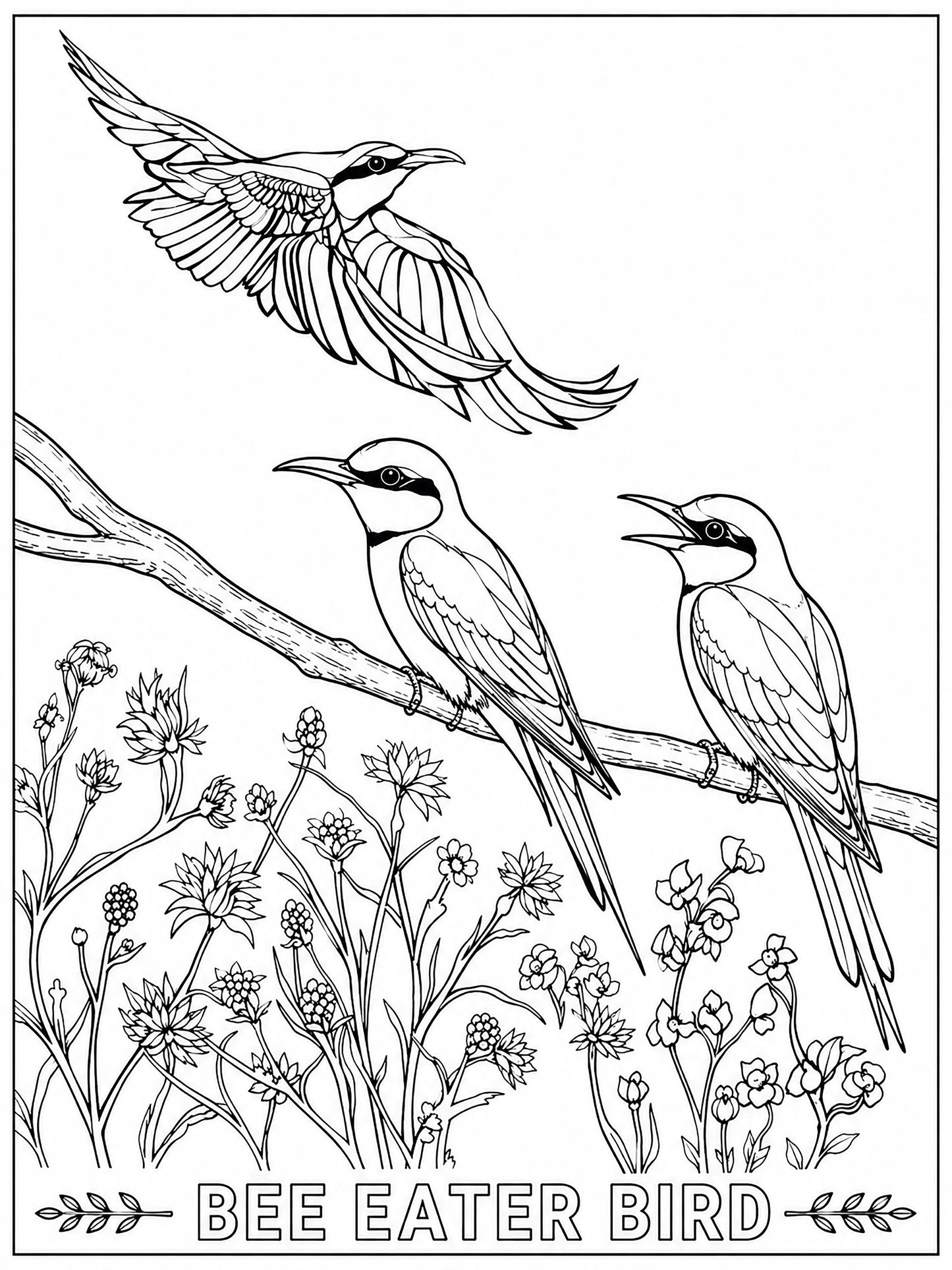 Bee Eater Coloring Poster – Exotic Bird Line Art | Wildlife Coloring Art
