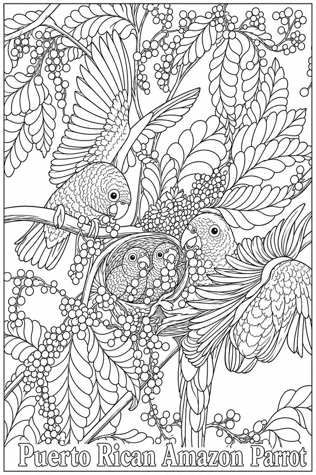 Puerto Rican Amazon Parrot Coloring Poster – Wildlife Conservation Art Print