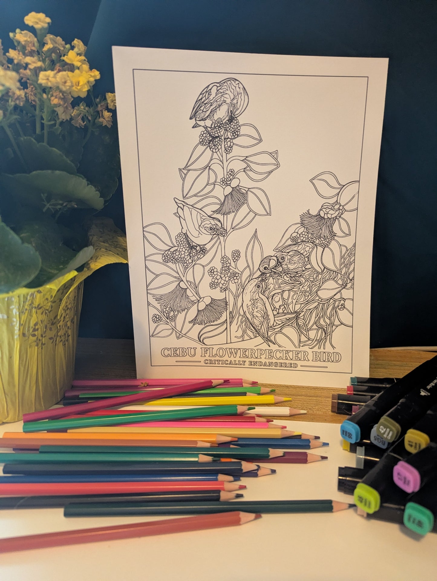 Cebu Flowerpecker Coloring Poster – Critically Endangered Bird Line Art – Hand‑Drawn Wildlife Illustration – Nature Education Decor