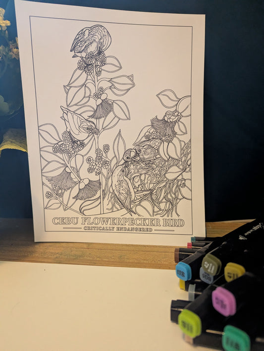 Cebu Flowerpecker Coloring Poster – Critically Endangered Bird Line Art – Hand‑Drawn Wildlife Illustration – Nature Education Decor