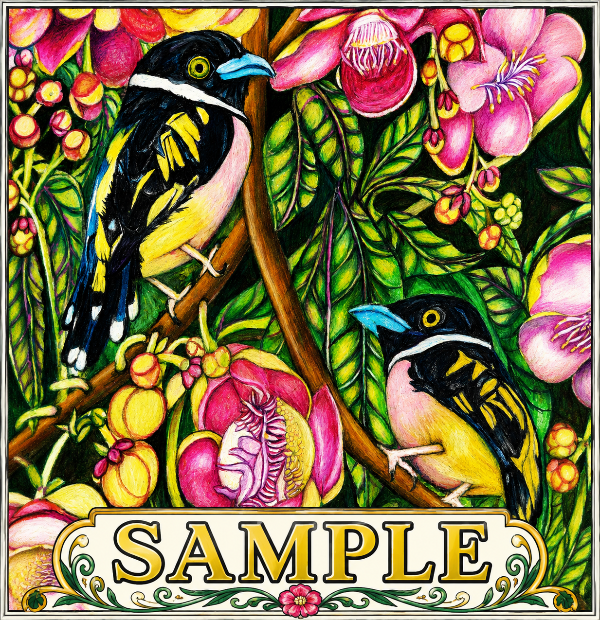 Black‑Yellow Broadbill Coloring Poster – Cannonball Tree Line Art | Wildlife/ Hand drawn by award winning artist