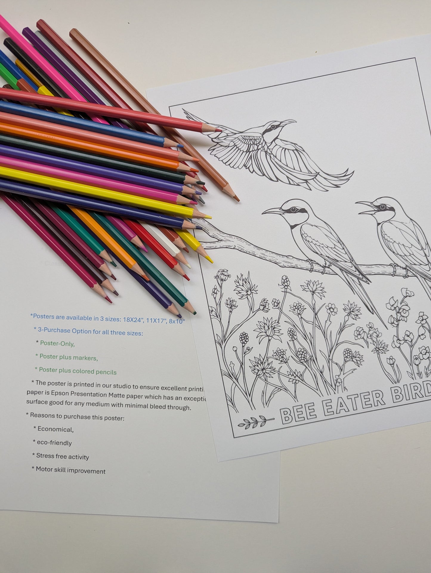 Black‑Headed Jay Coloring Poster – Himalayan Bird Line Art | Wildlife Art