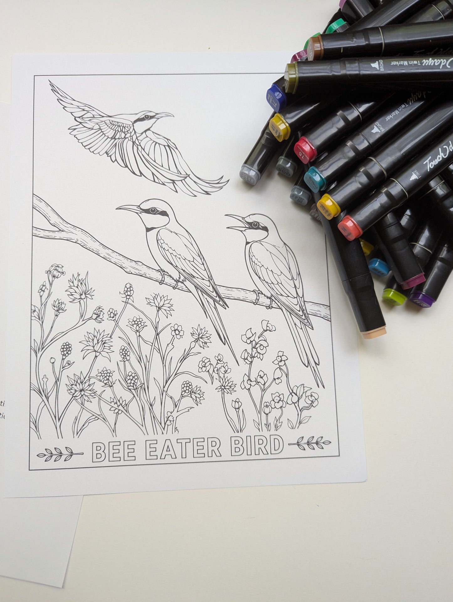 Black‑Headed Jay Coloring Poster – Himalayan Bird Line Art | Wildlife Art